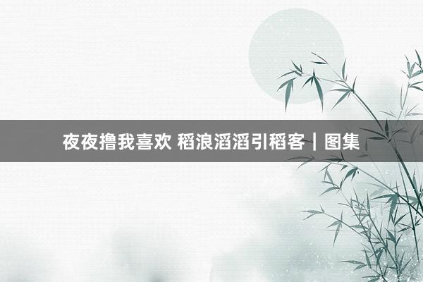 夜夜撸我喜欢 稻浪滔滔引稻客｜图集